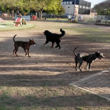 Perros disfrutando en el Canil Parque La Isla de la Paternal