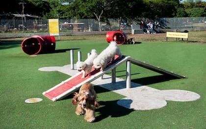 Parque de las Mascotas en La Paternal